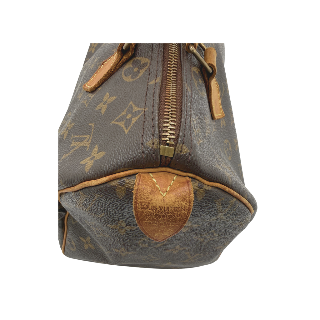 Speedy 30 Louis Vuitton