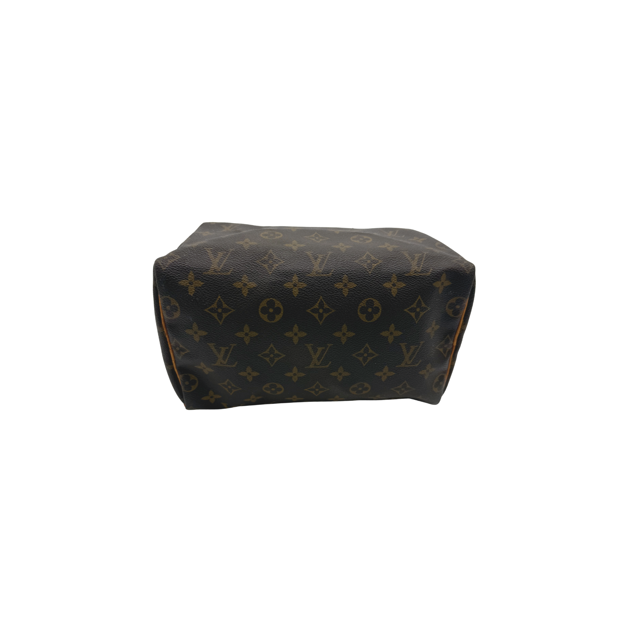 Speedy 25 Louis Vuitton